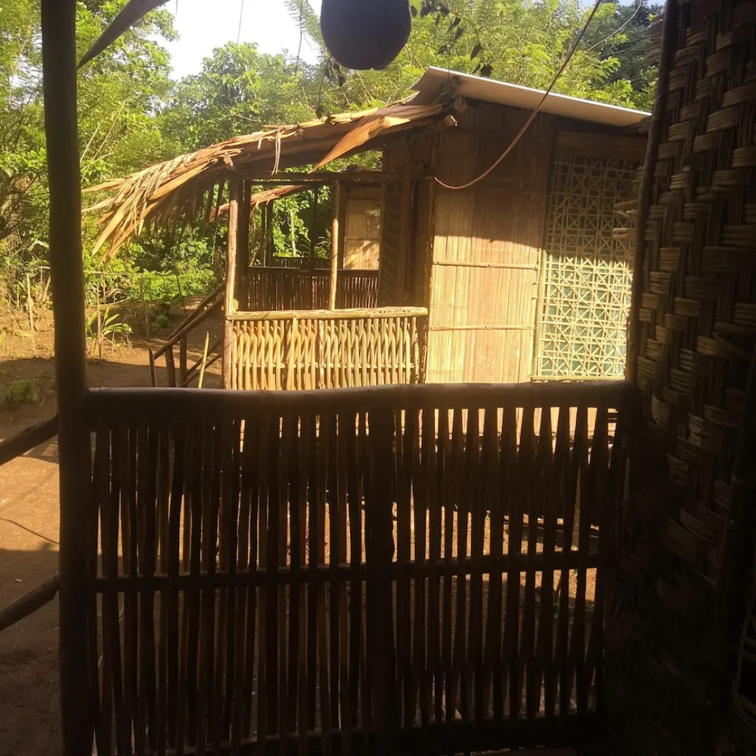 Wairiki 4