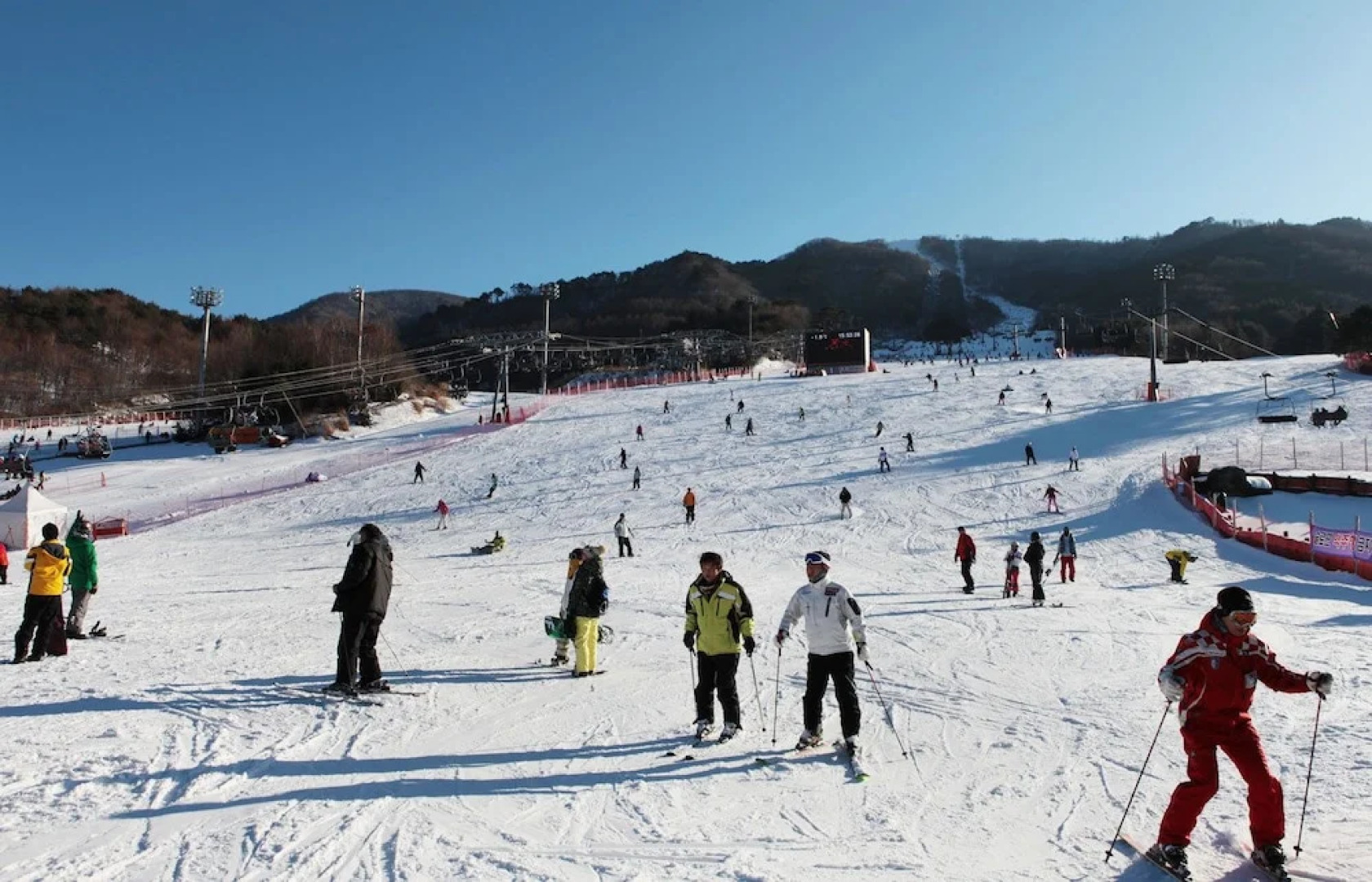 Daegwallyeong Wild Floaroma Pension