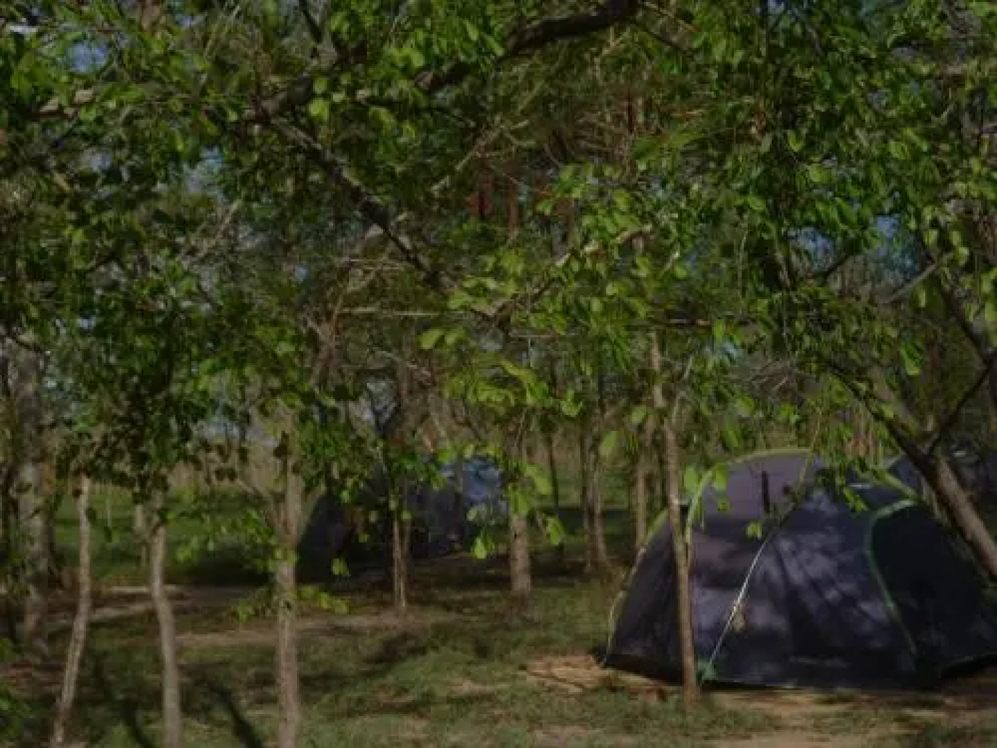 Asante Afrika Camp Mikumi