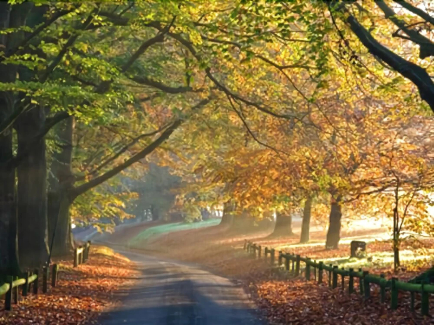 Maidstone Family Homes - Upper Road