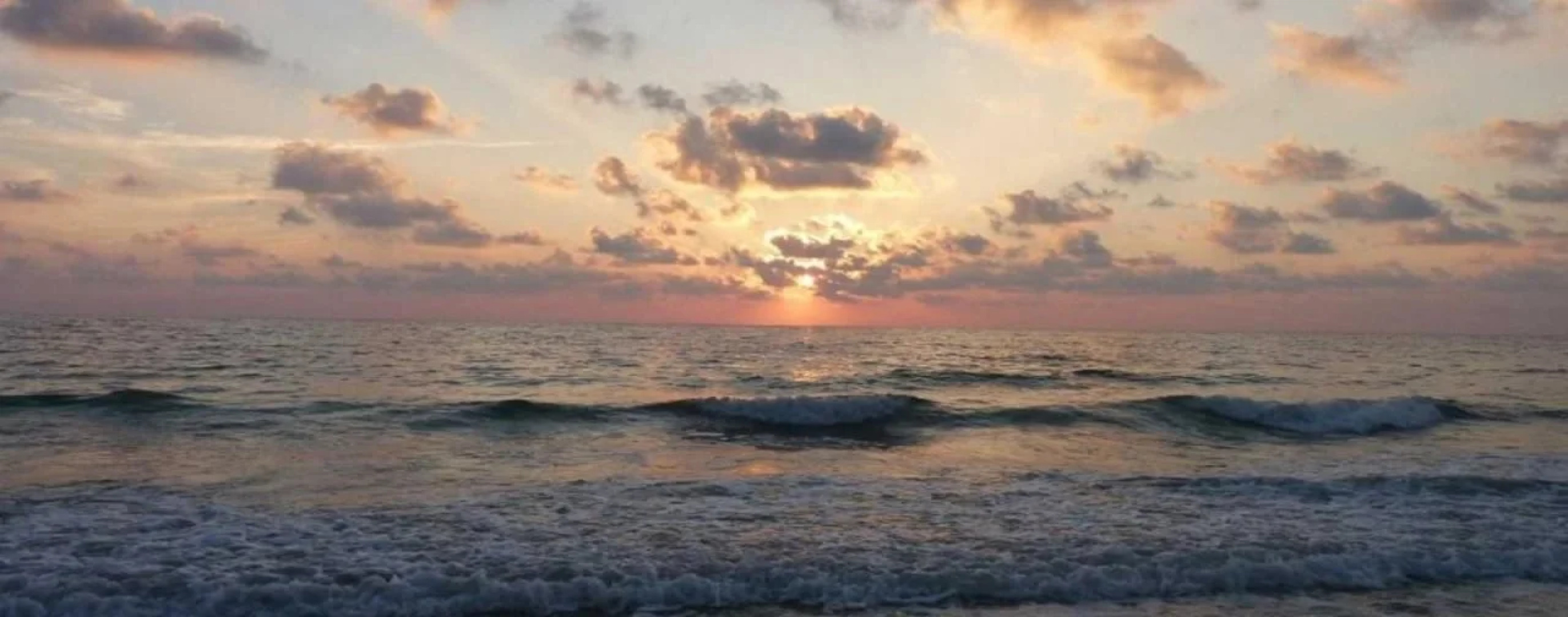 Coconut Cove All-Suite Hotel