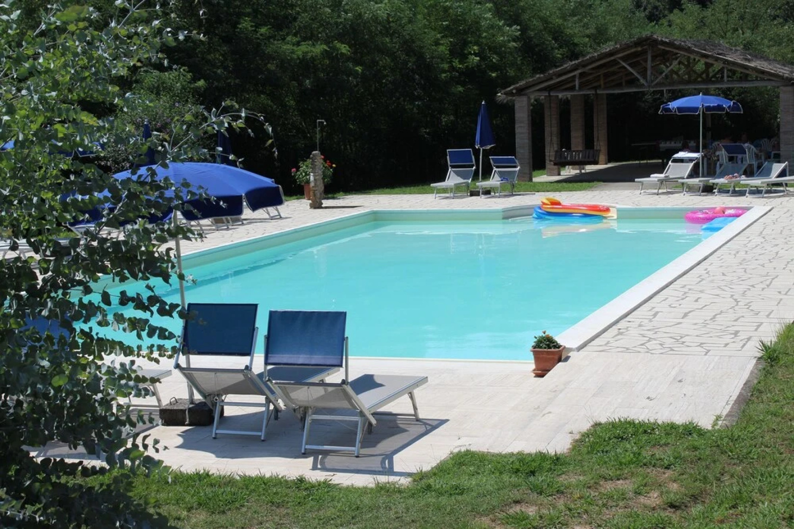 Poggio dei Michelazzi