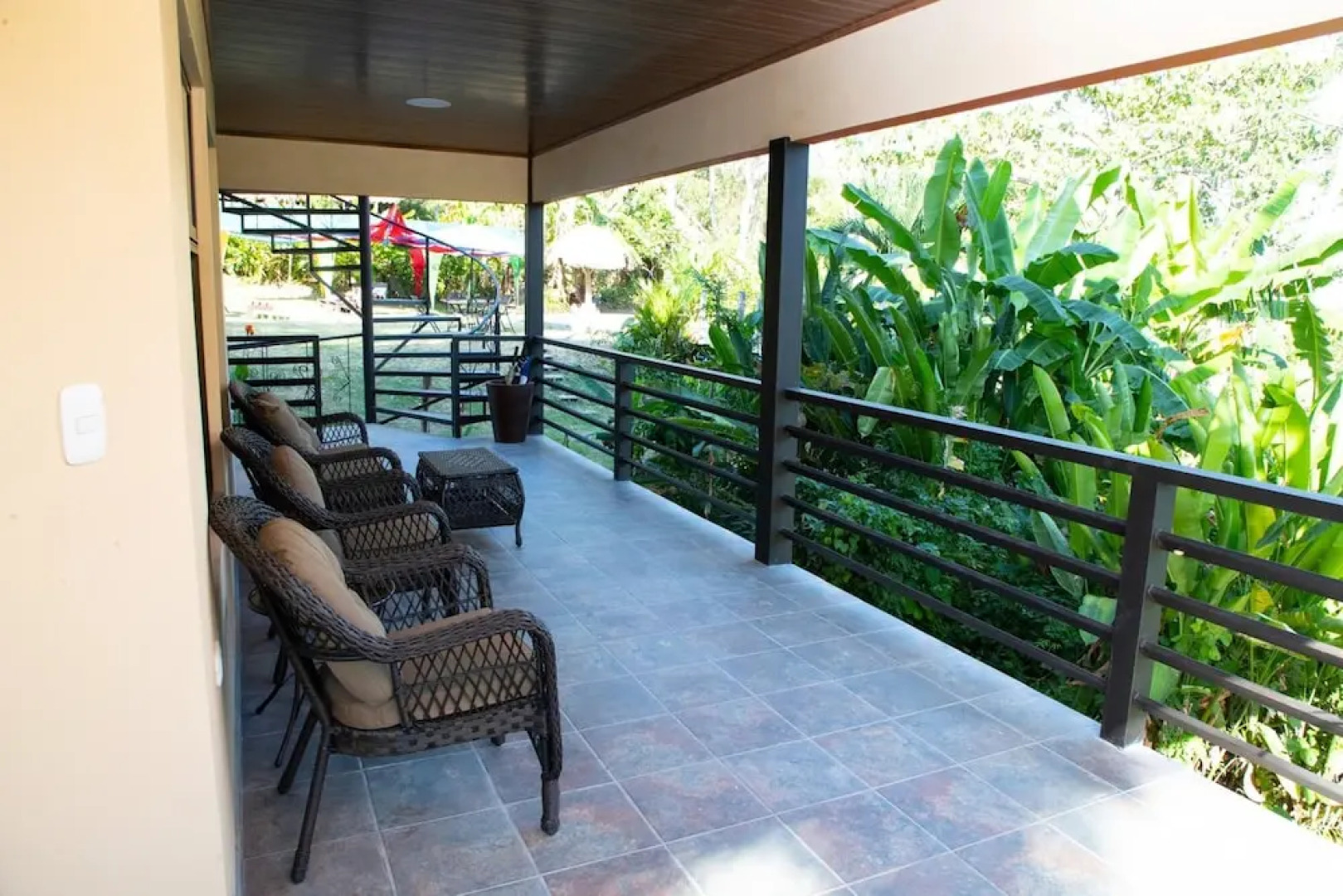 Jungle Lodge at Wild Sun Rescue