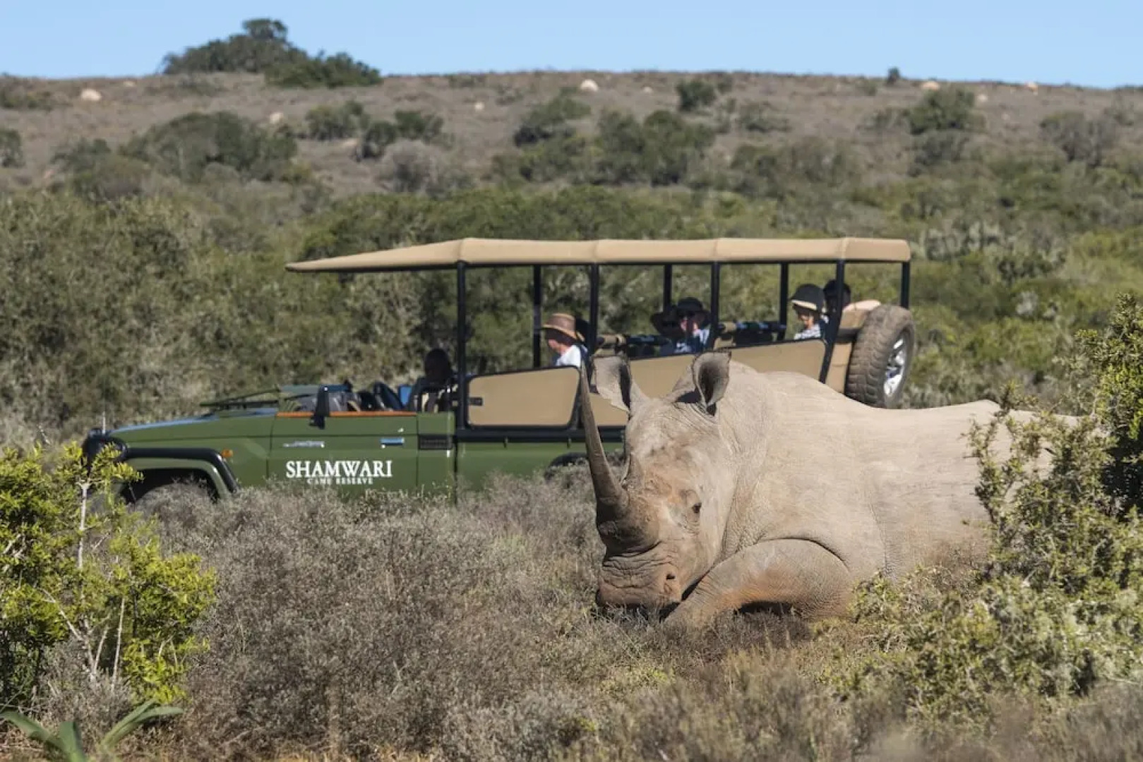 Shamwari Long Lee Manor