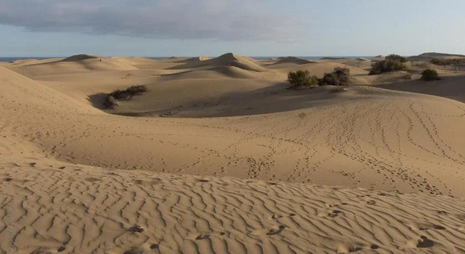 Hotel Emblemático Arucas