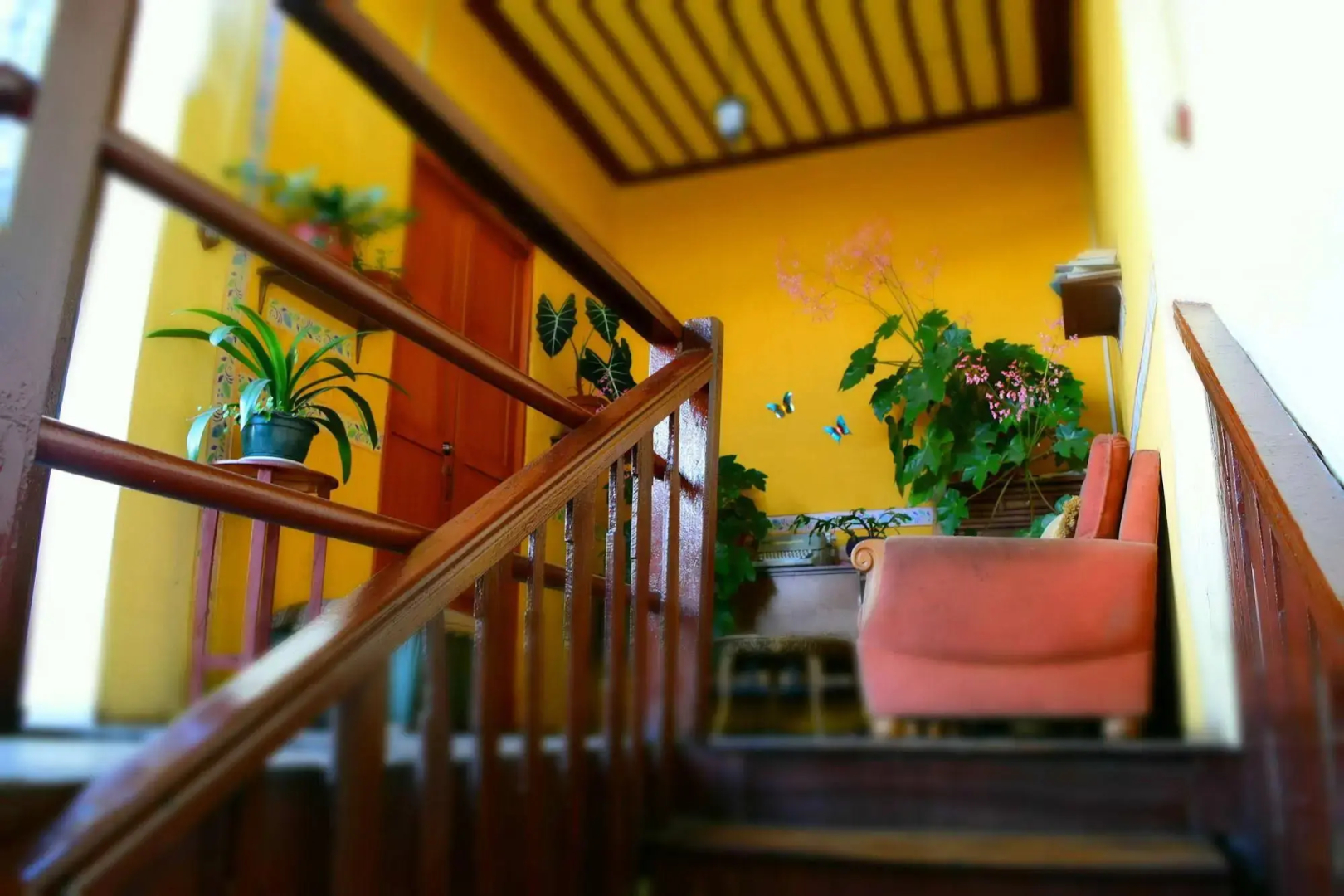Hostal Villa del Rosario