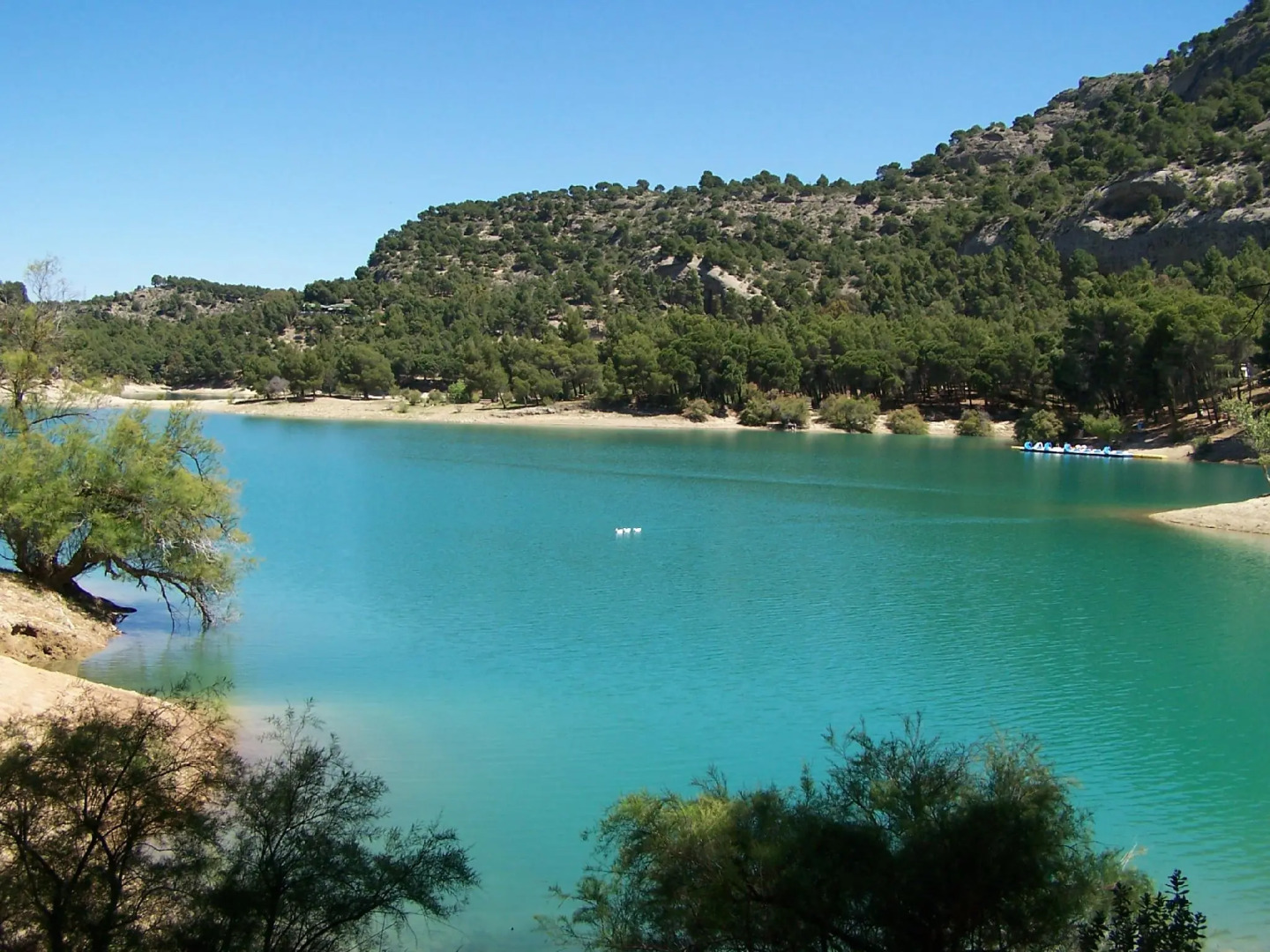 Ardales Park Apartments