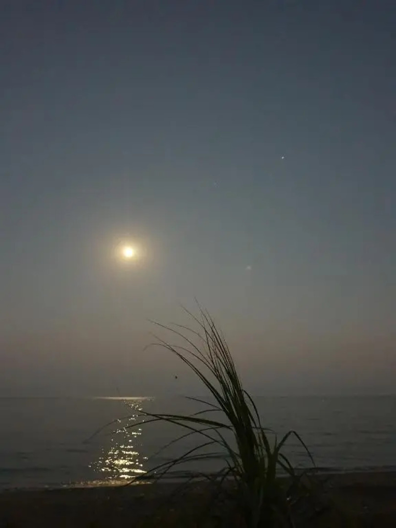 Seafront Beach House