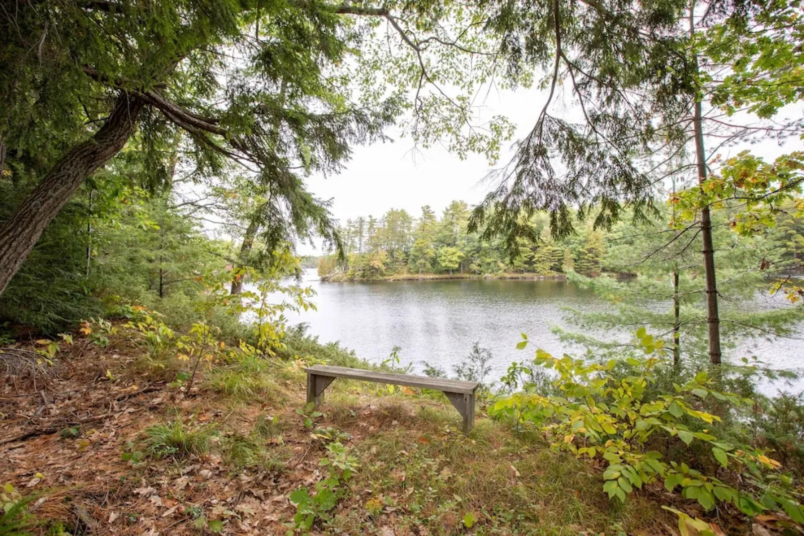 Wildflower Cottage A Fantastic boat access family cottage with a spectacular 500' of waterfront!