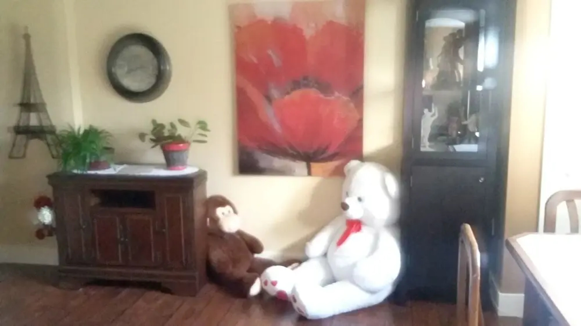 Apartment With 2 Bedrooms in Tracadie-sheila, With Furnished Garden an