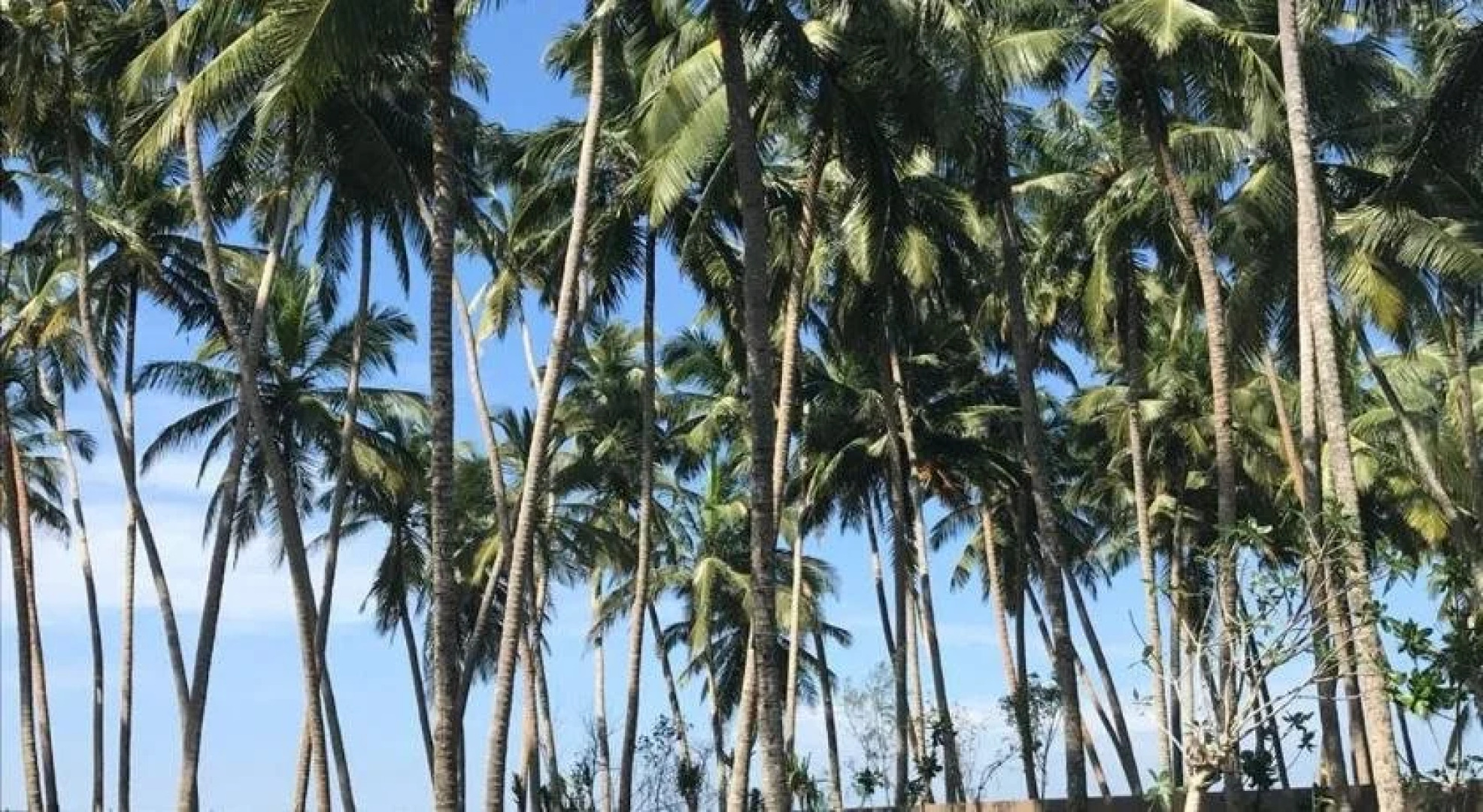 The Villa by Contemporary Ceylon