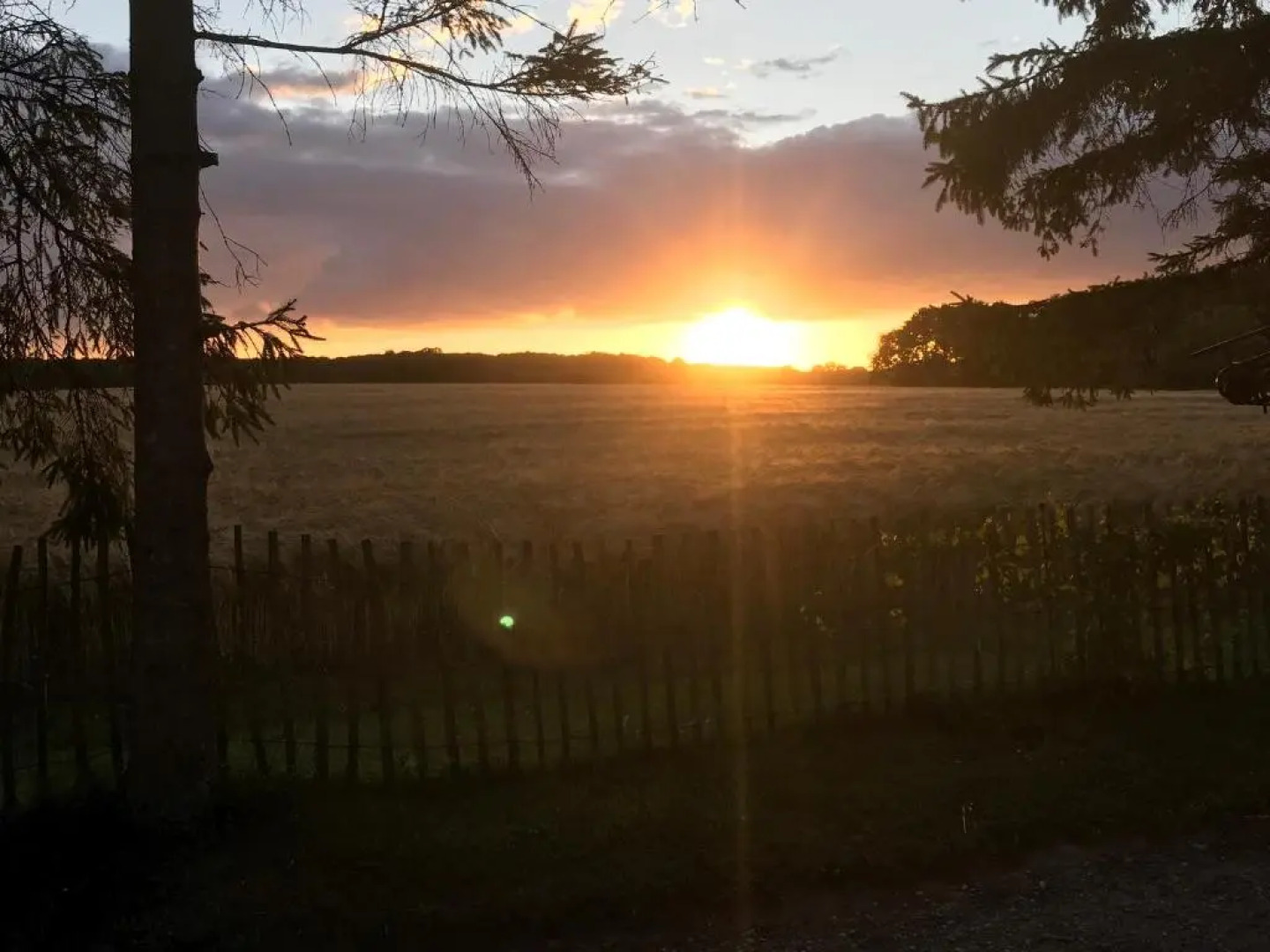 SIMPLE LIVING - Beds 190 cm - Dogs welcome on request - CARAVAN - COSY FARM BnB