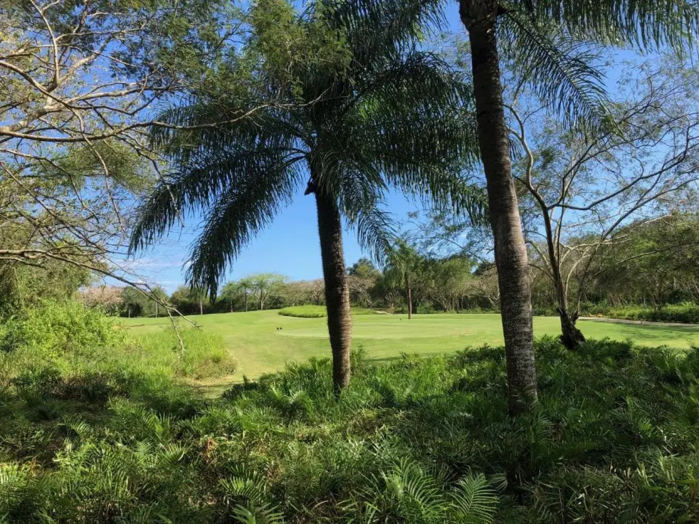 Los Corozos apartment K3, Guavaberry Golf & Country Club