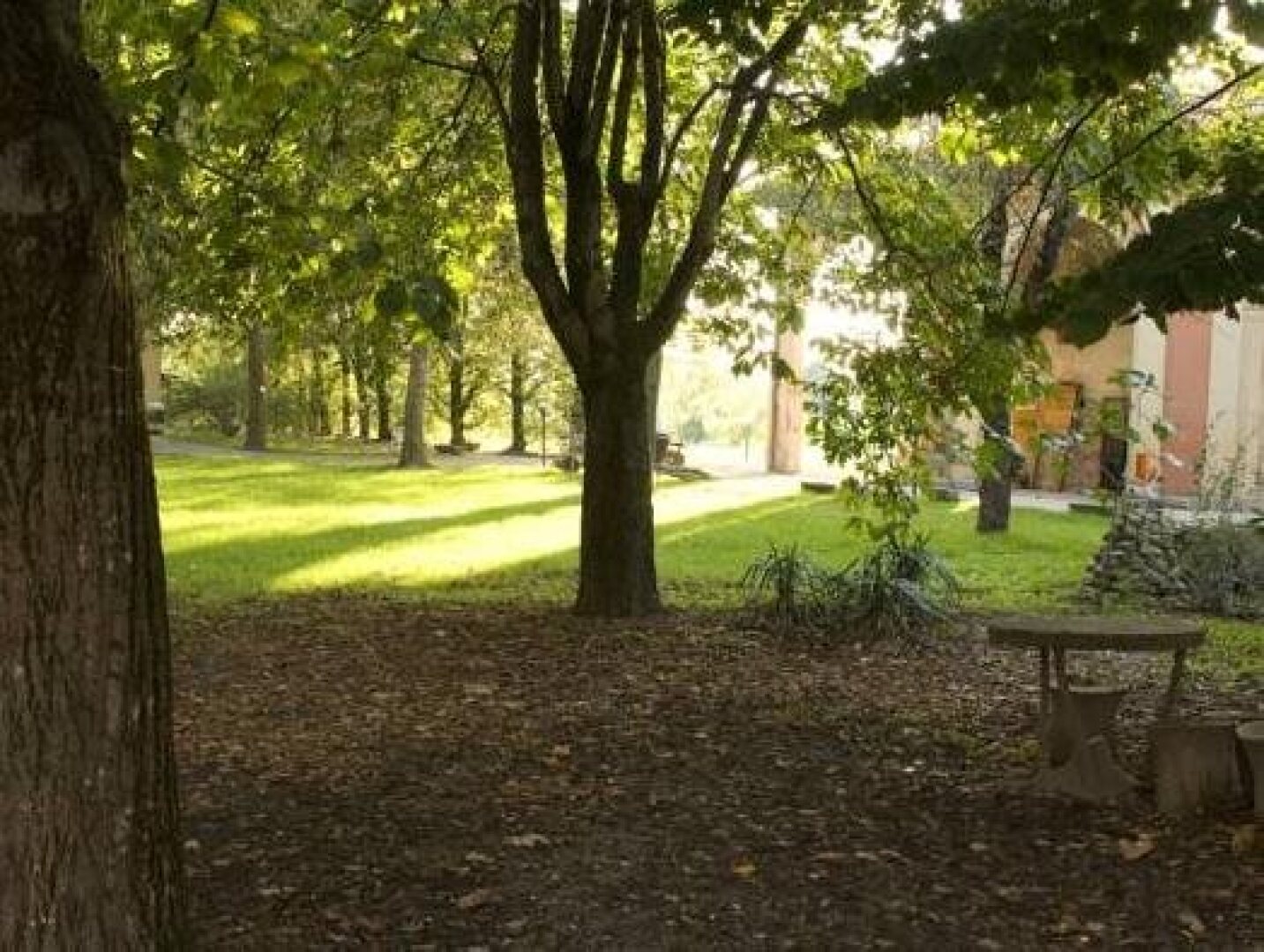 Santa Maria Maddalena