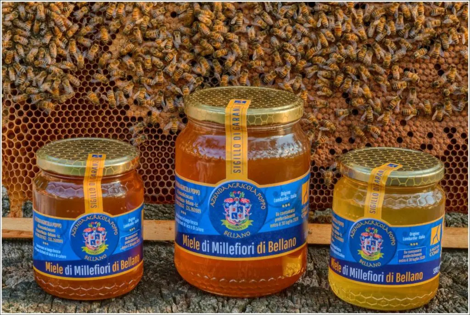 Fantastica Casa Poppo