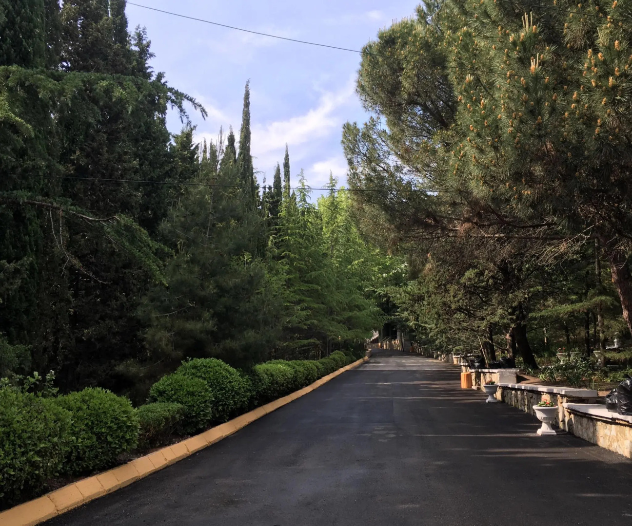 Алые паруса