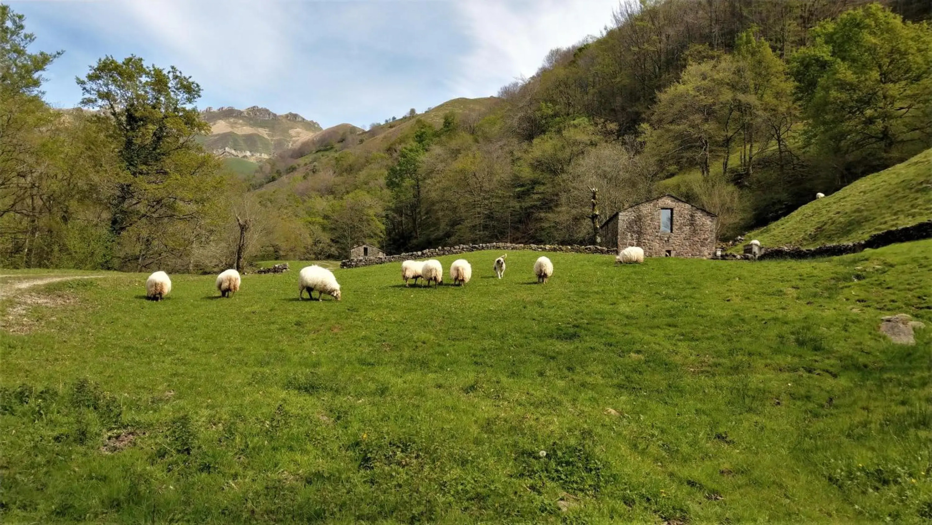Pidream Cottage . Cabañas de Pisueña