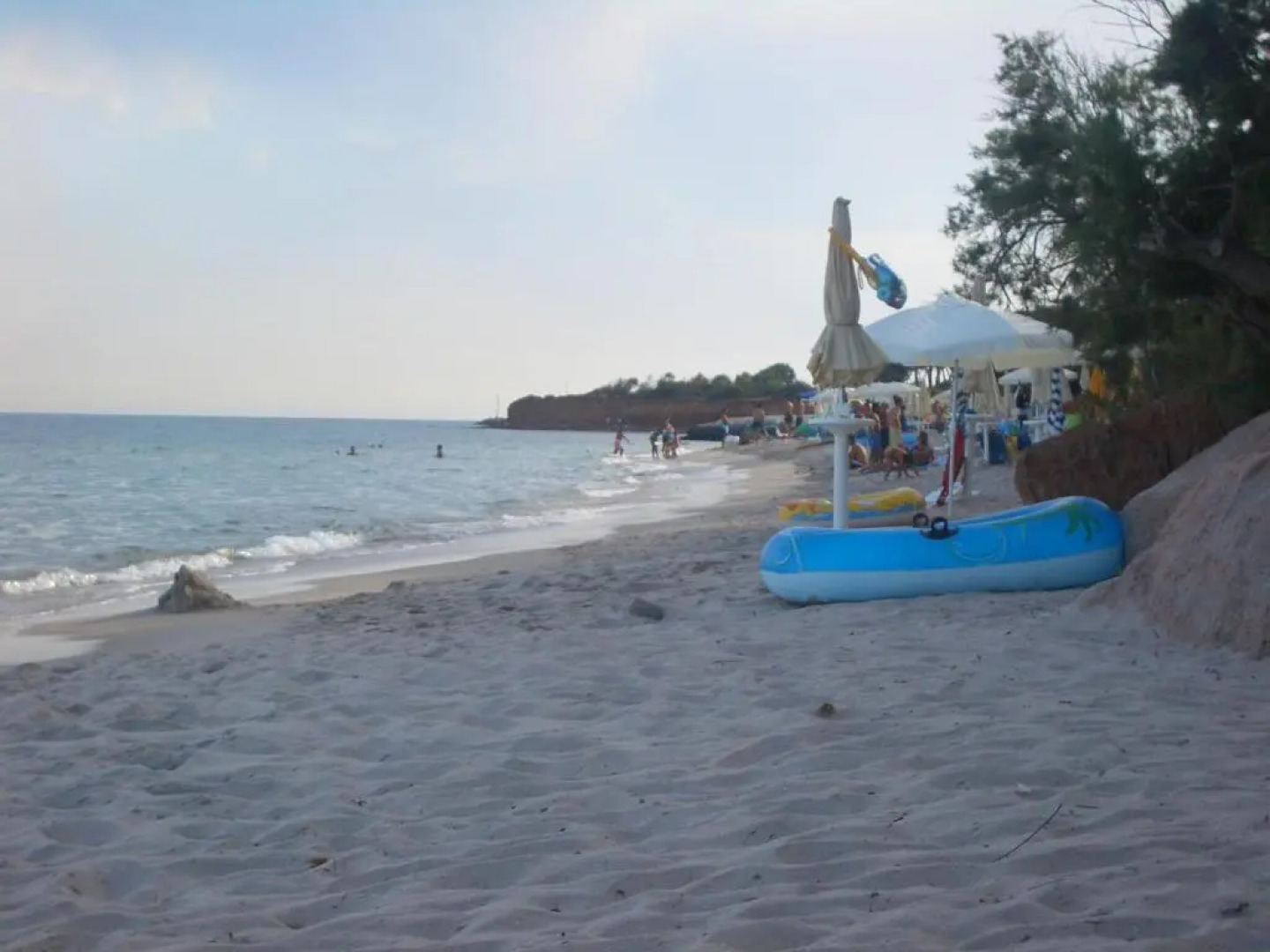 Jungle House - Pineta Is Morus