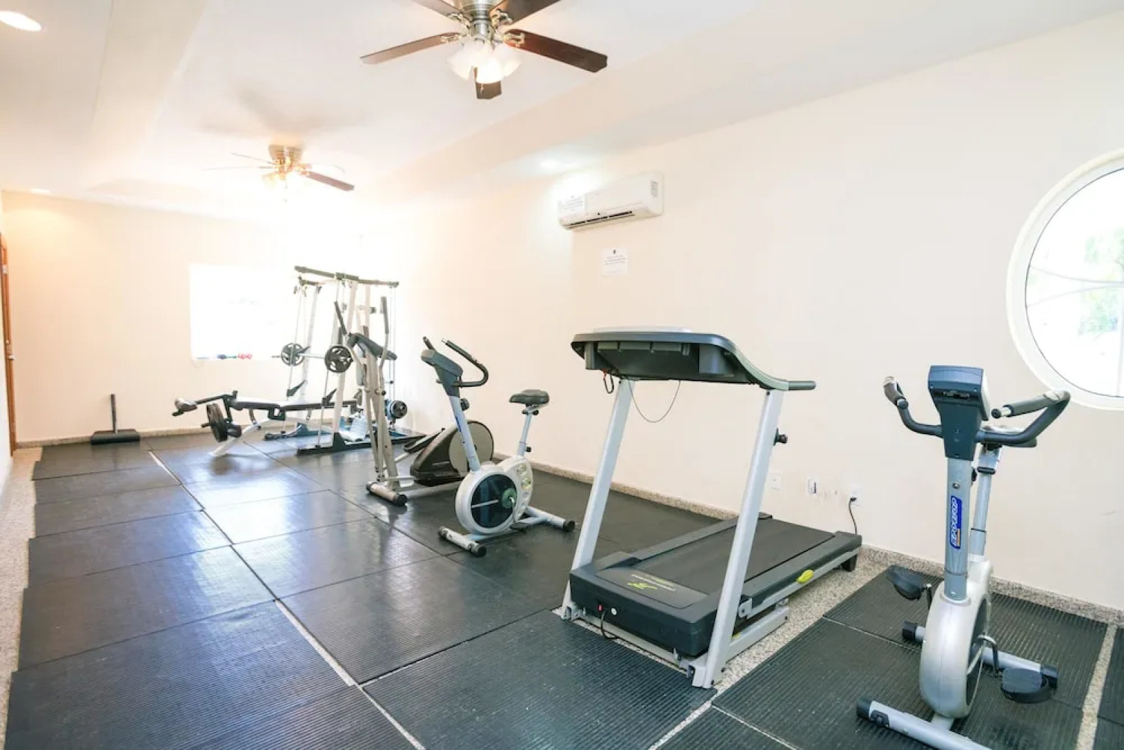 Lawson Rock Yellowfish 210