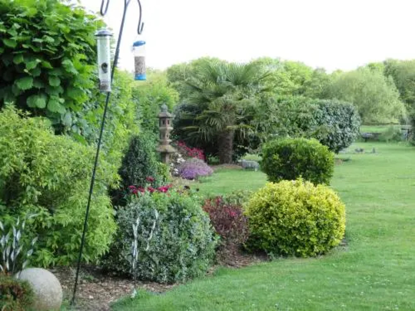 Acer Lodge Bed & Breakfast