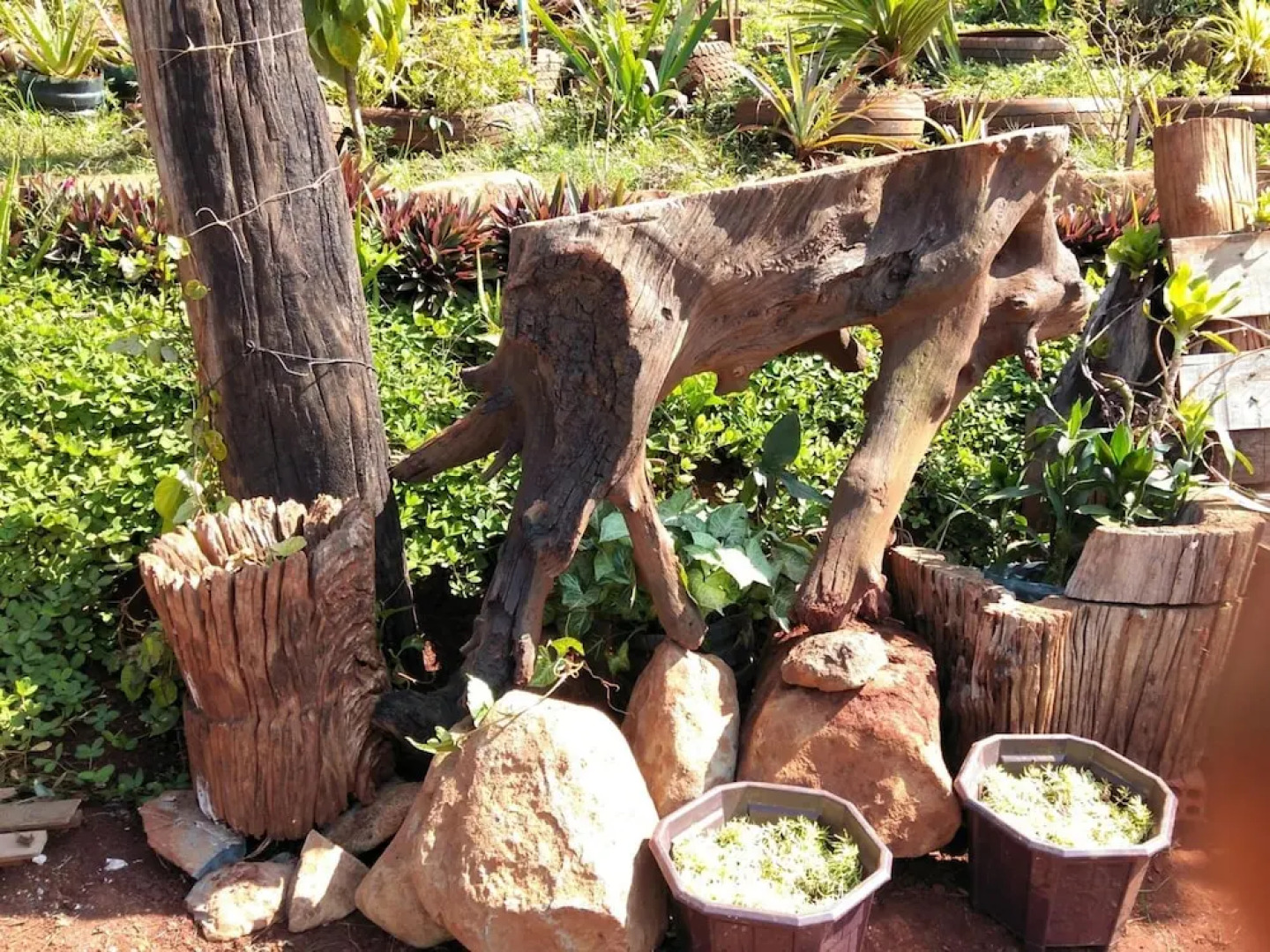 Ratanak Tep Rithea homestay