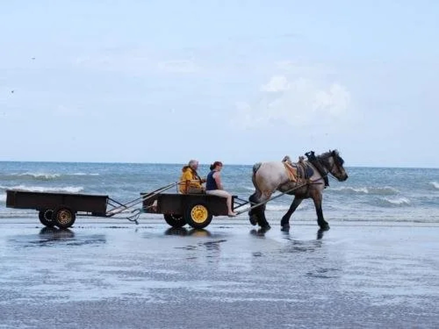 Vakantiehoeve De Torreele