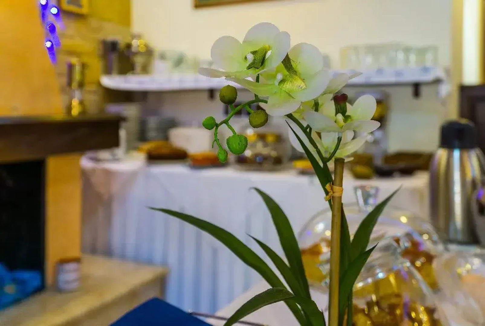 Epavlis Boutique Suites