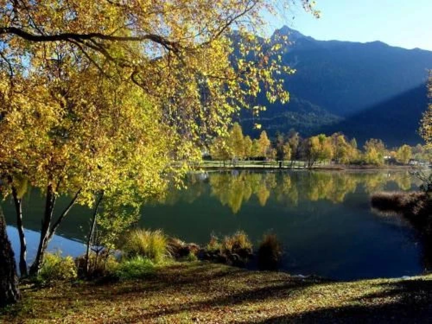 Appartements Wildmoos