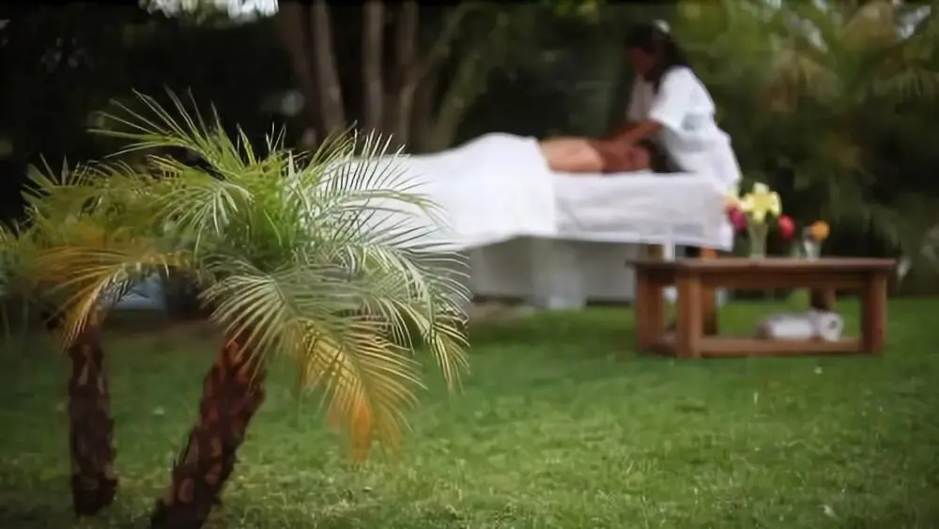 Hotel Quinta Ventura