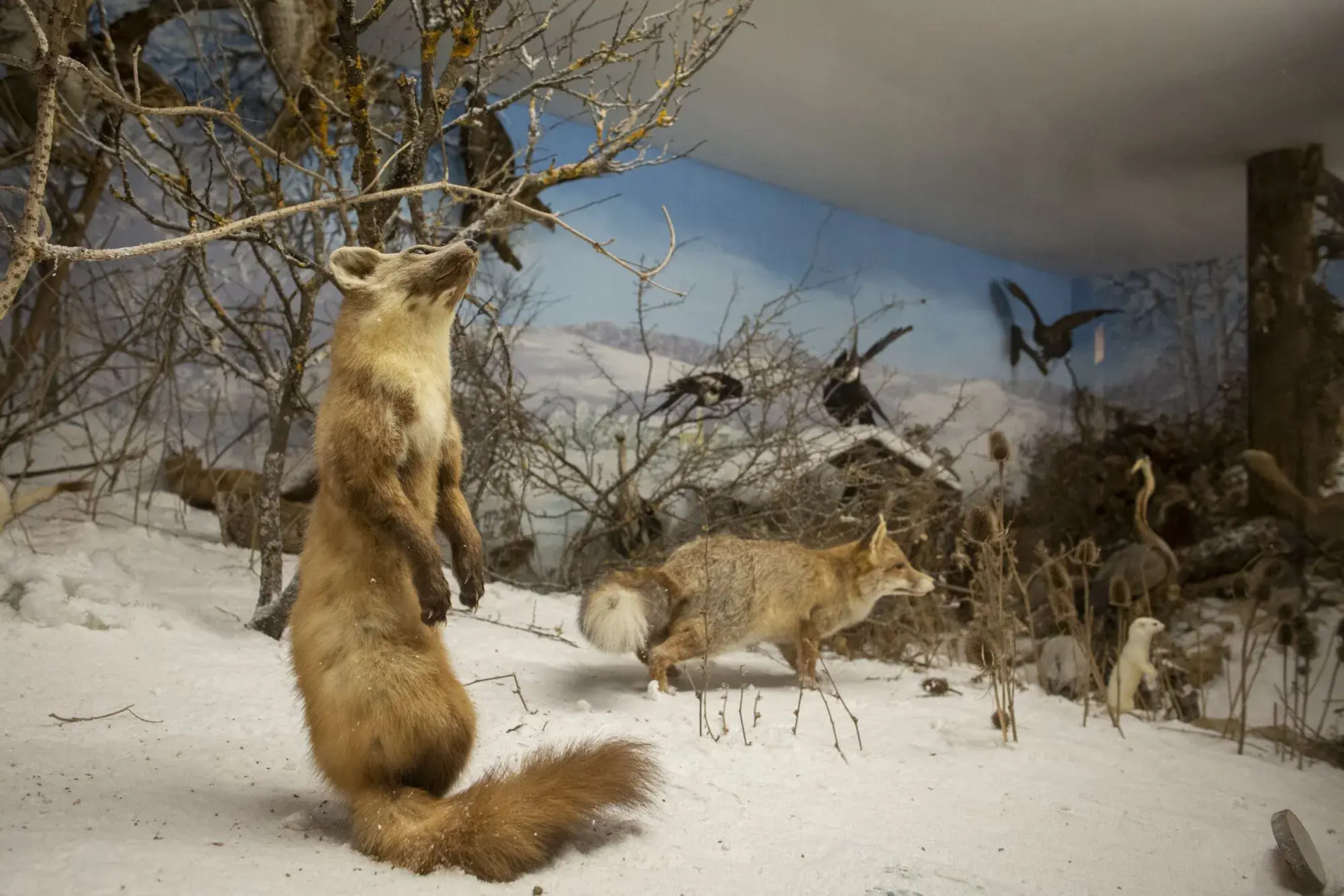Waldgasthof zum Geländer
