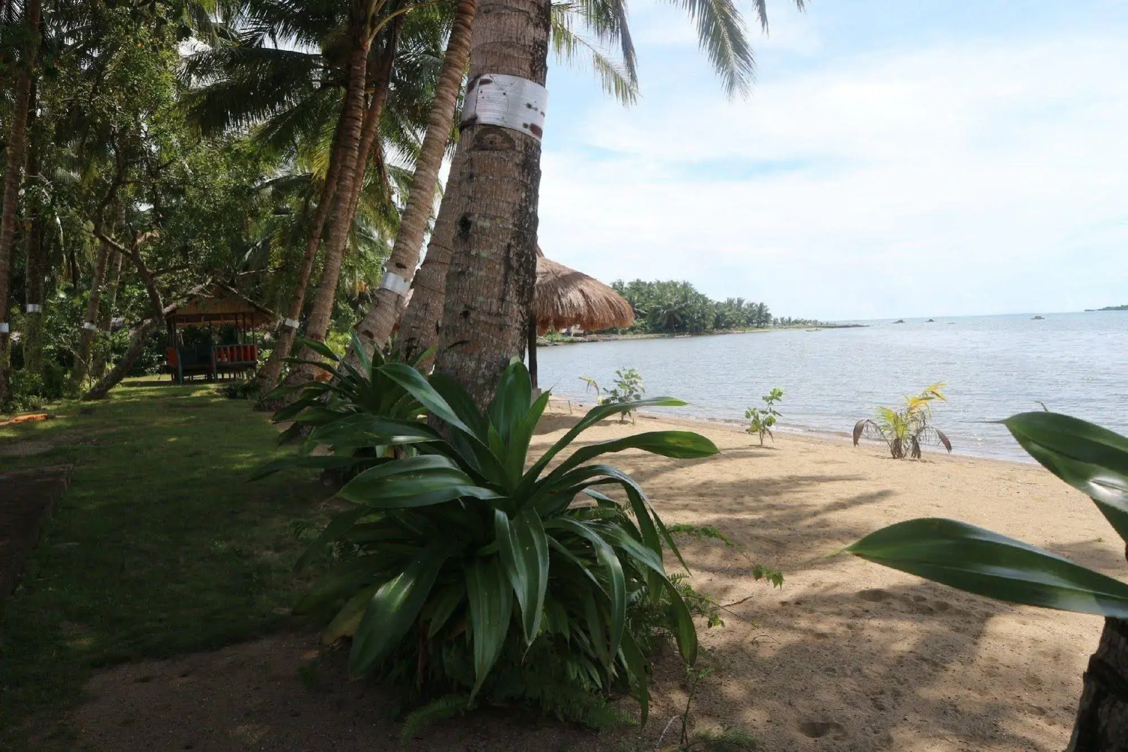 Melrose Beach Resort