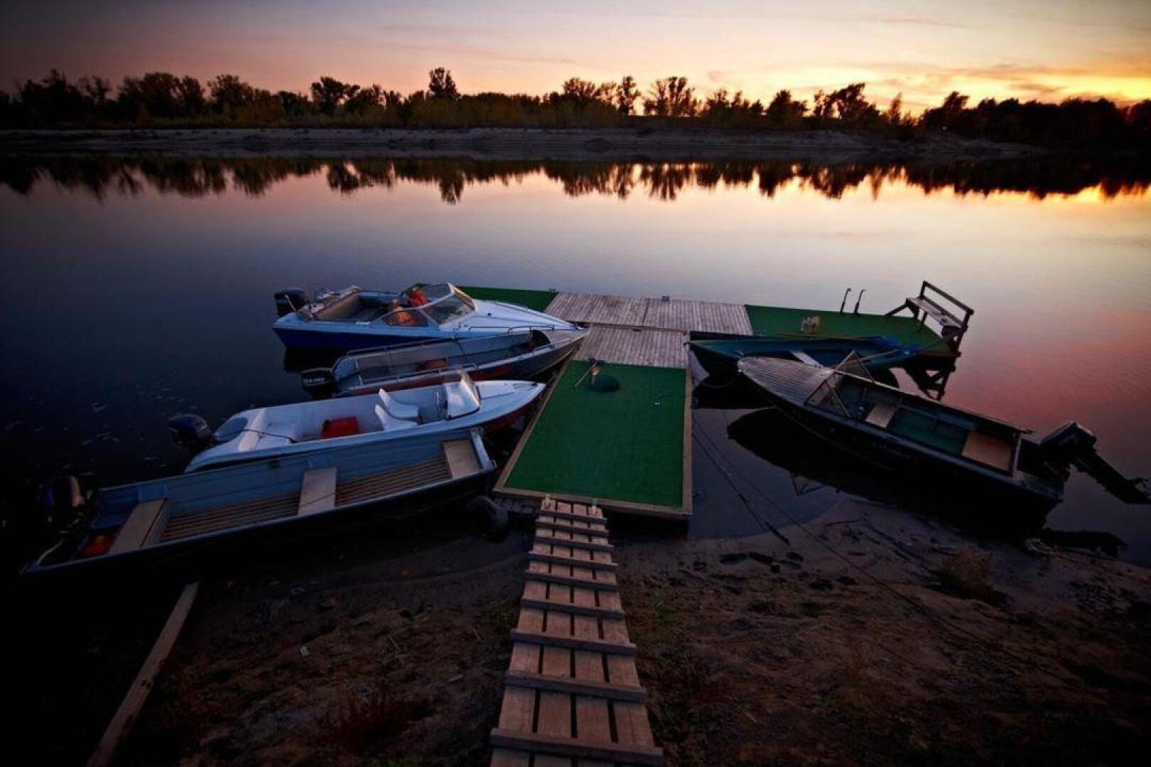 Золотая Рыбка