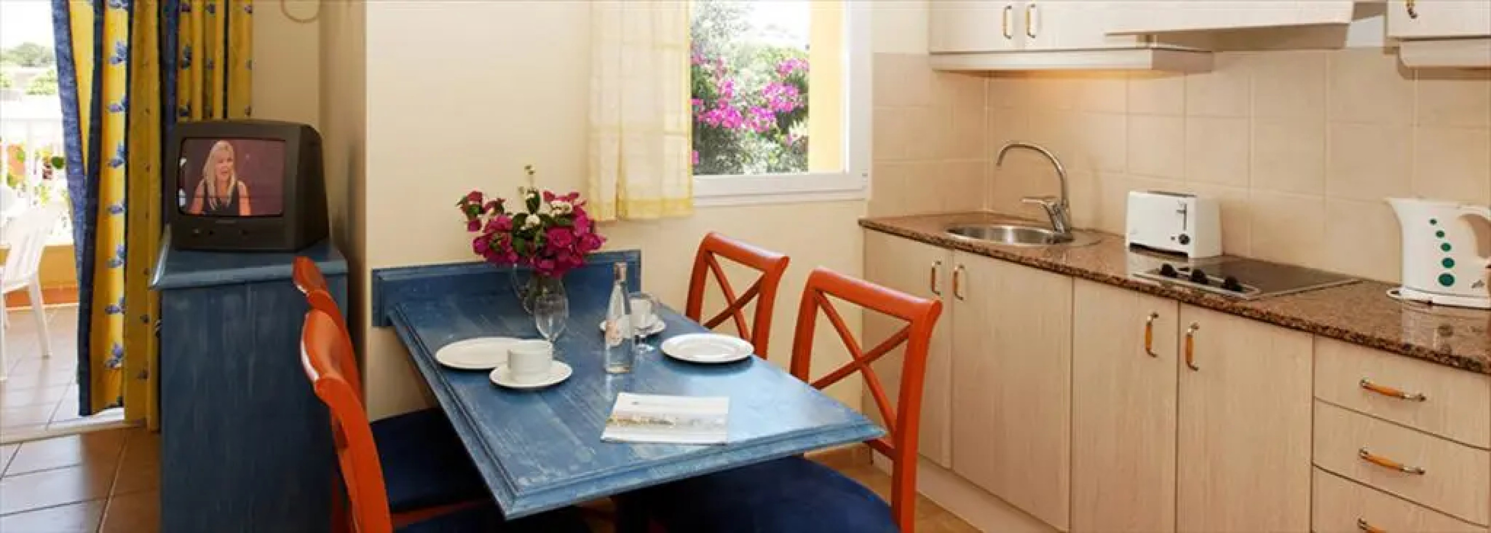 Comitas Isla del Aire