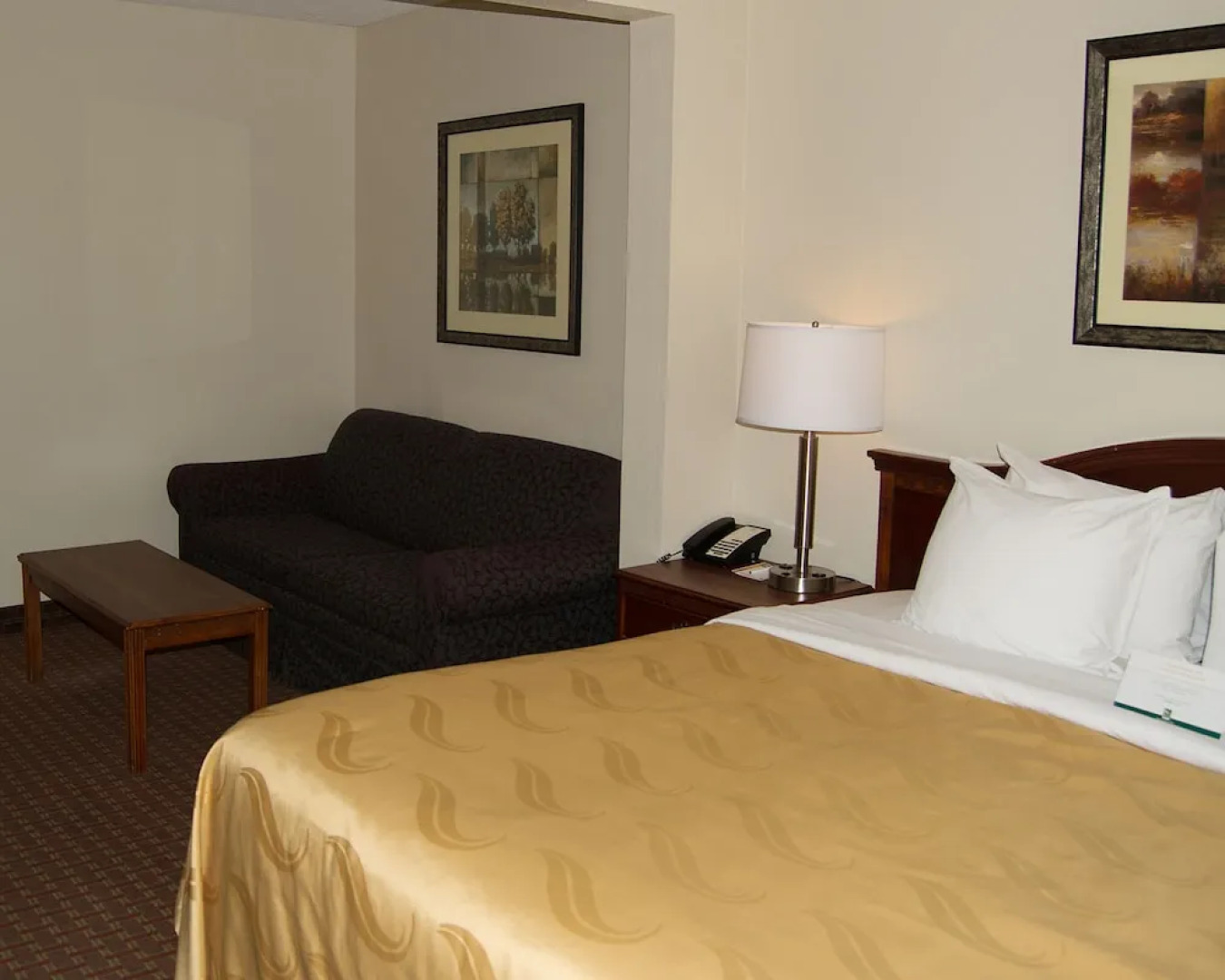 Quality Inn & Suites Lexington