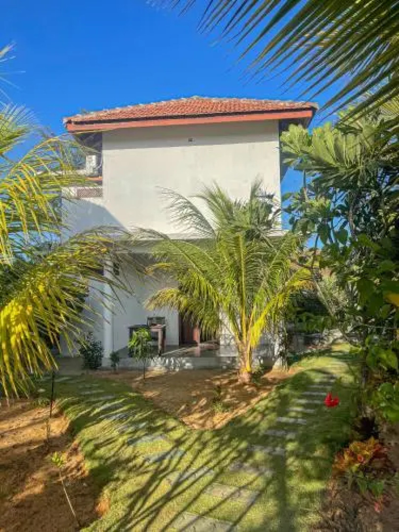 Whisky Point Surf Cabana