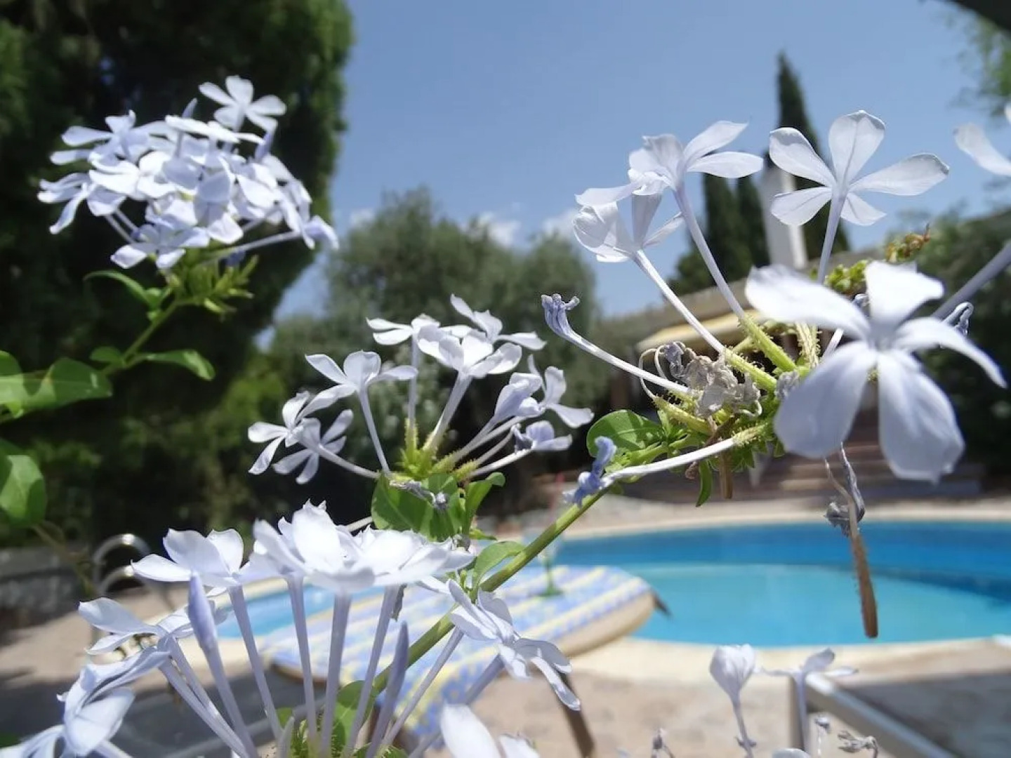 Villa El Palomar de Granada