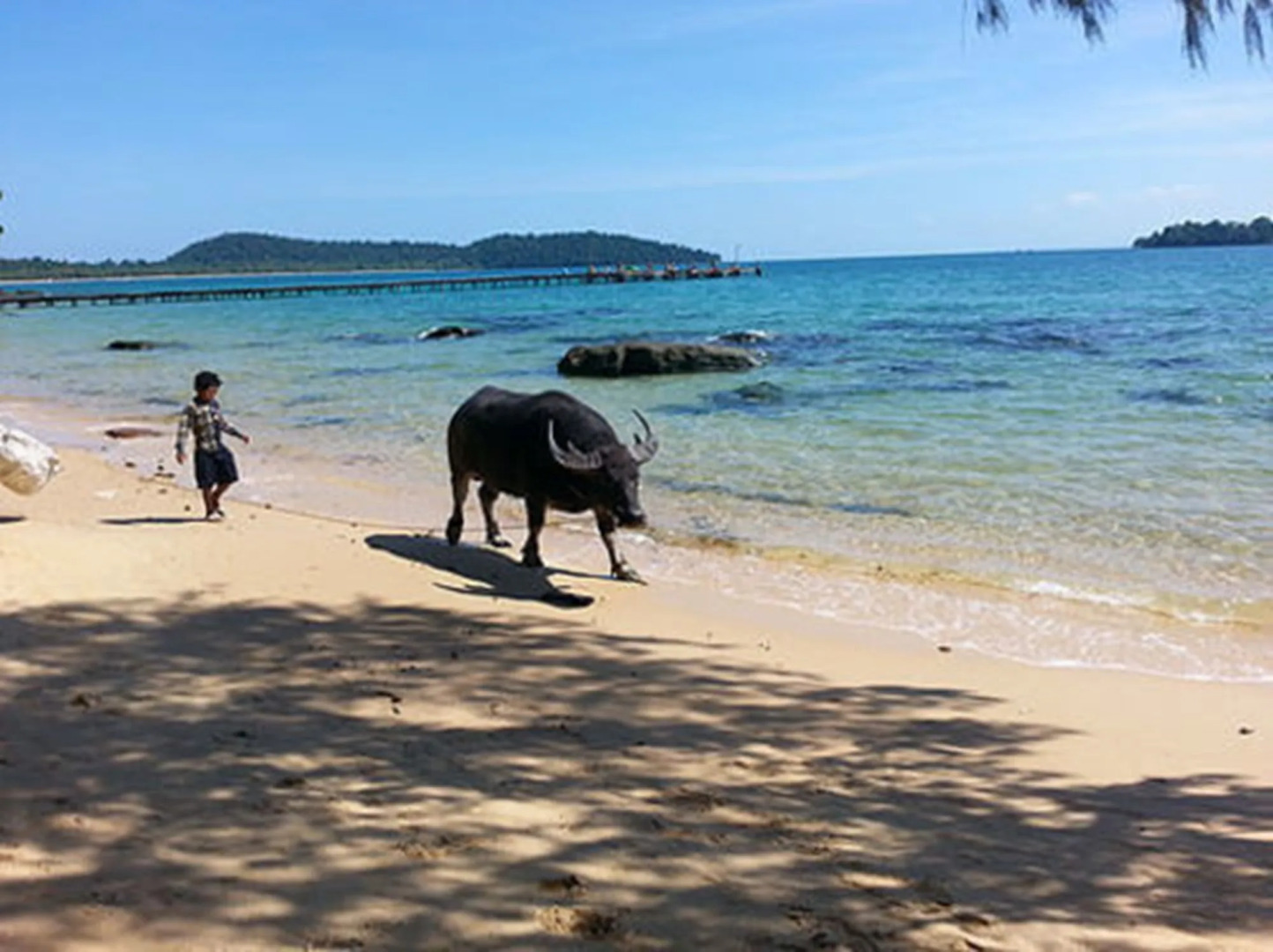 Tree House Bungalows Resort