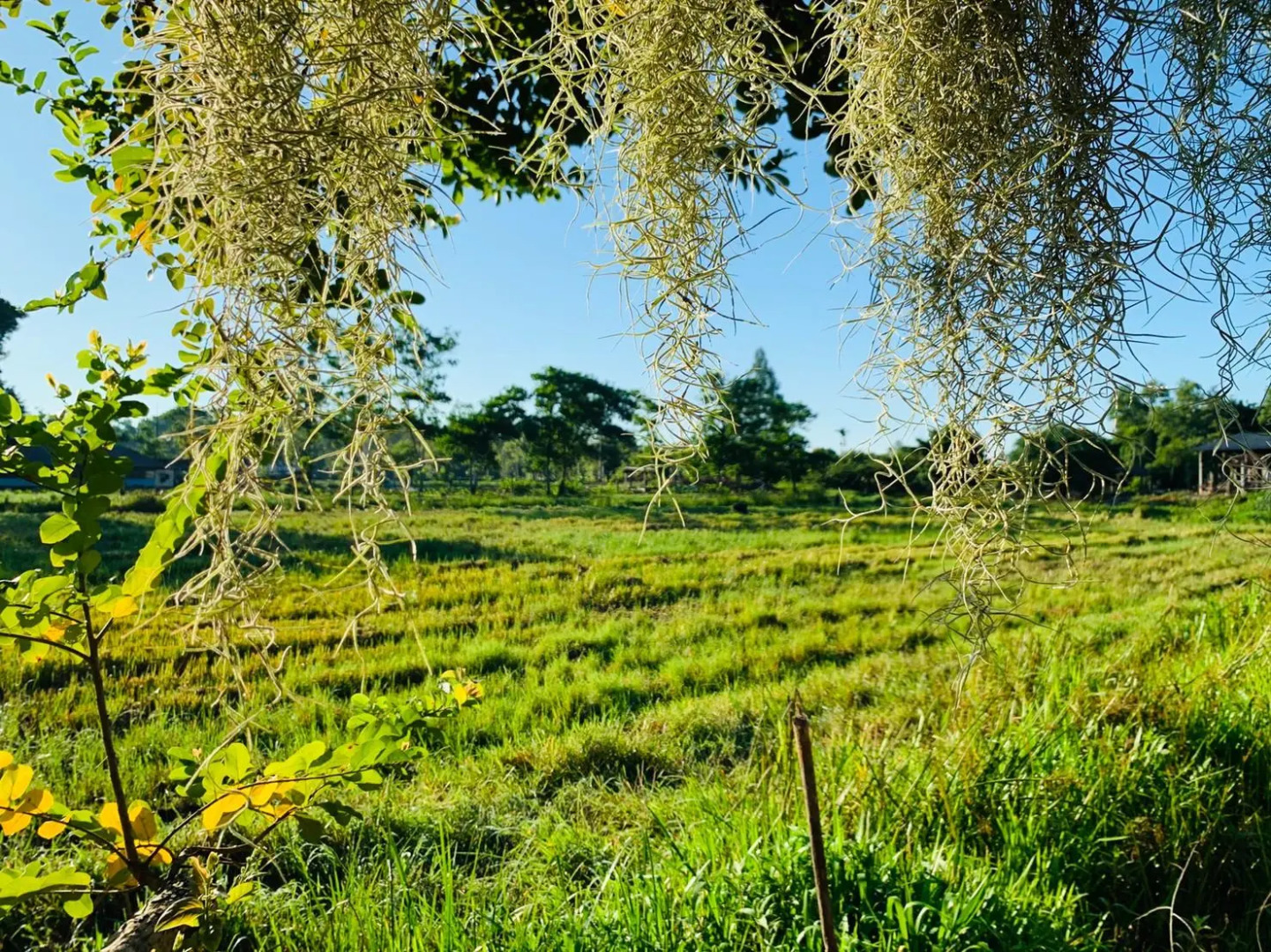 LOFT Star Resort @ Phatthalung
