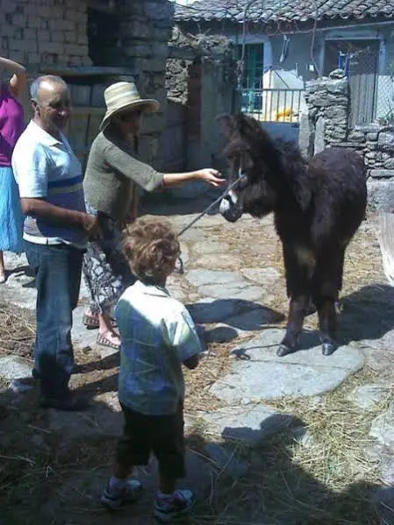 Posada Real La Mula de los Arribes