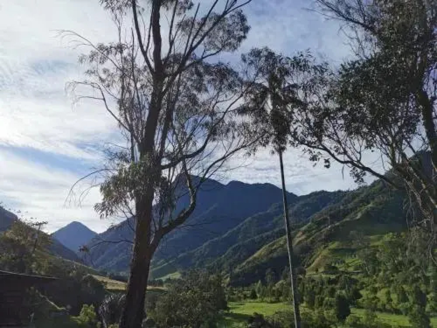Cabañas Truchas Cocora