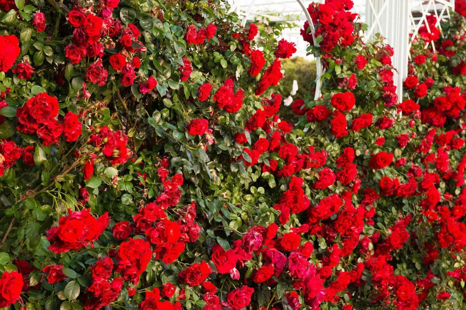 Relais Sassa al Sole