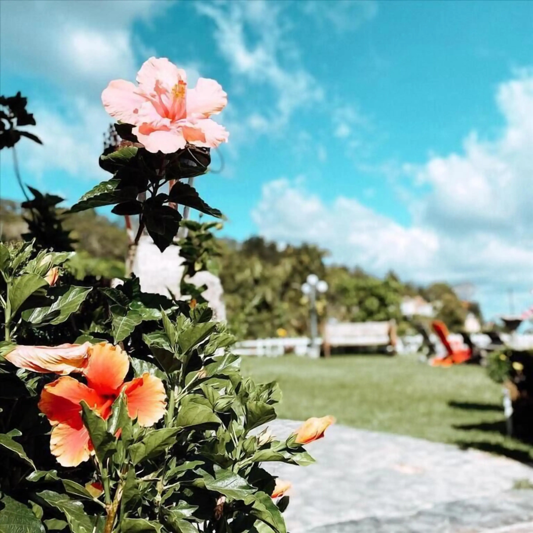 Verdant Hotel & Holistic Experience