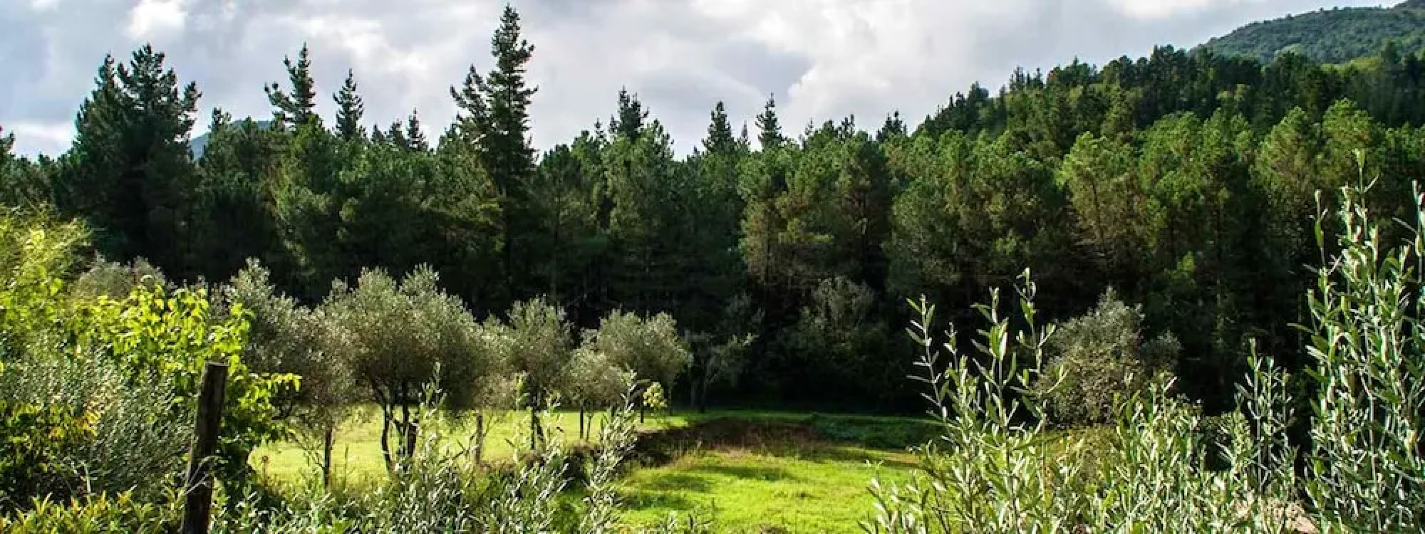 Villa With 12 Bedrooms in Arbúcies, With Wonderful Mountain View, Private Pool and Enclosed Garden