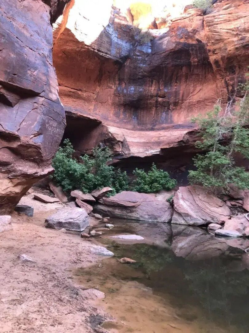 Zion Cliff Lodge