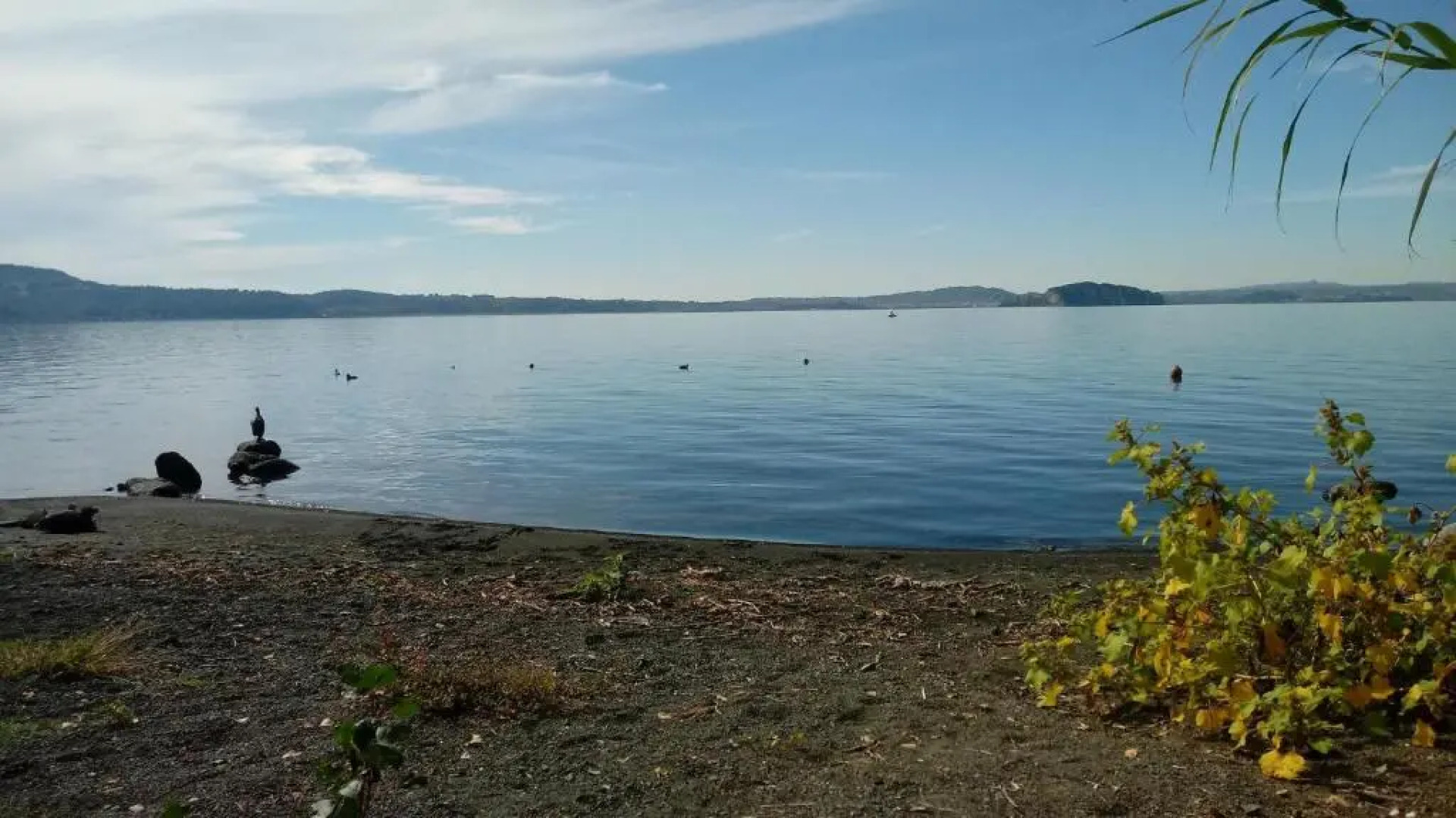 Stunning 1-bed House in Castel Cellesi, Italy