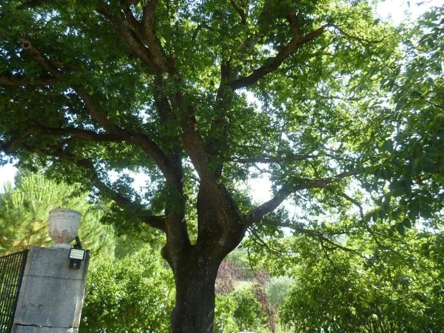 Holiday Home Rue du Pont