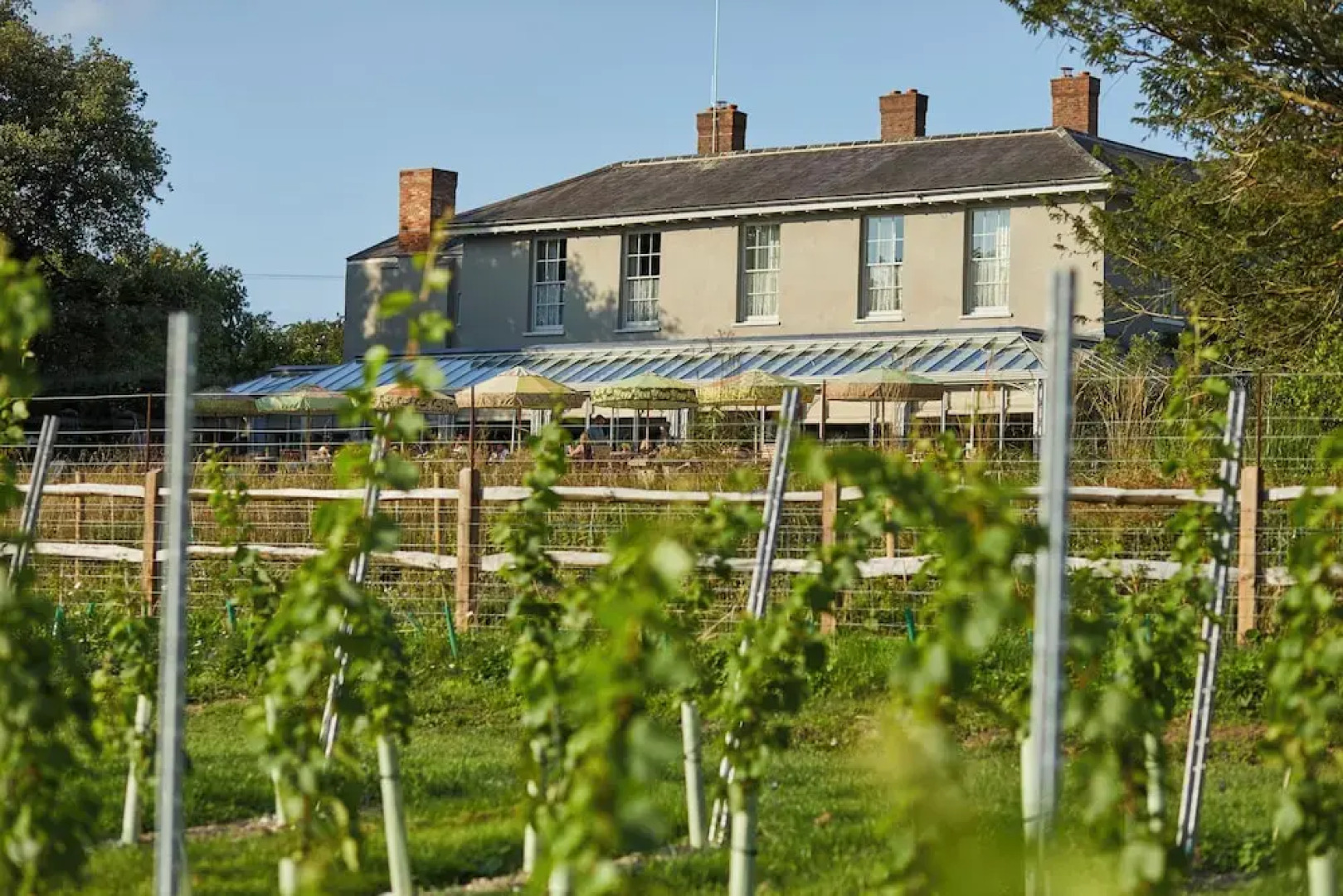 The Pig in the South Downs