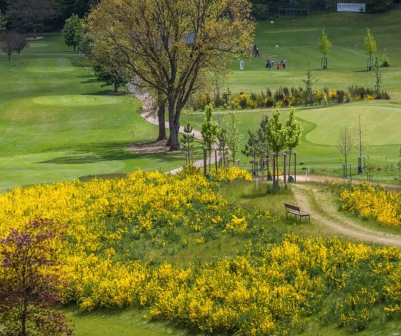 Weiherhof Comfortable Holiday Residence