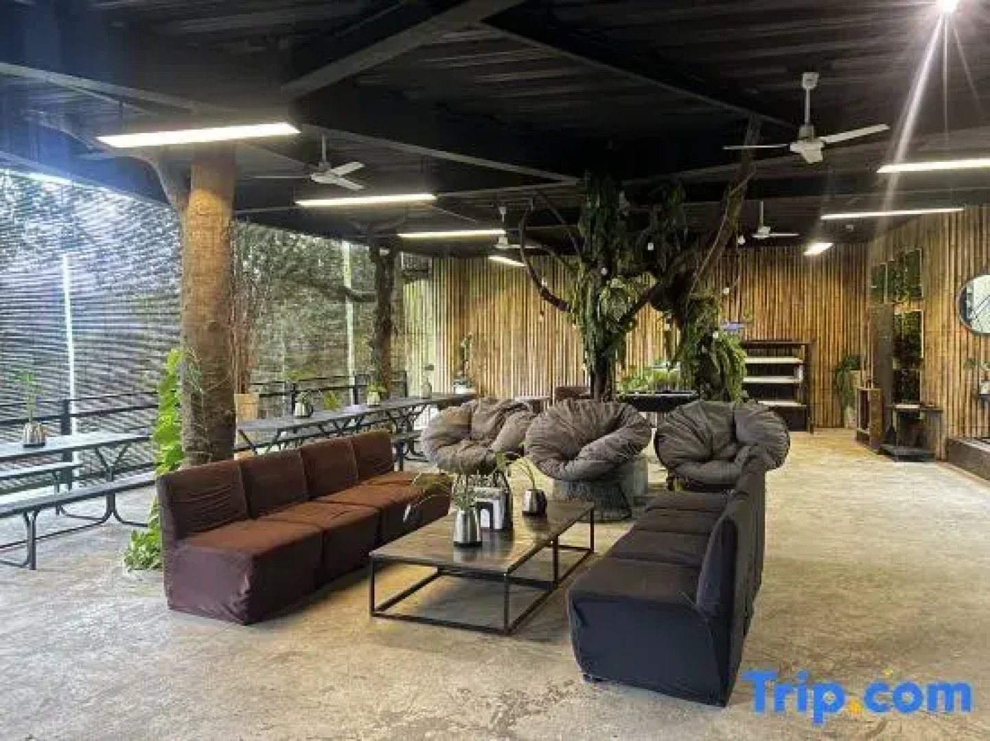 The Ravine by One Selah