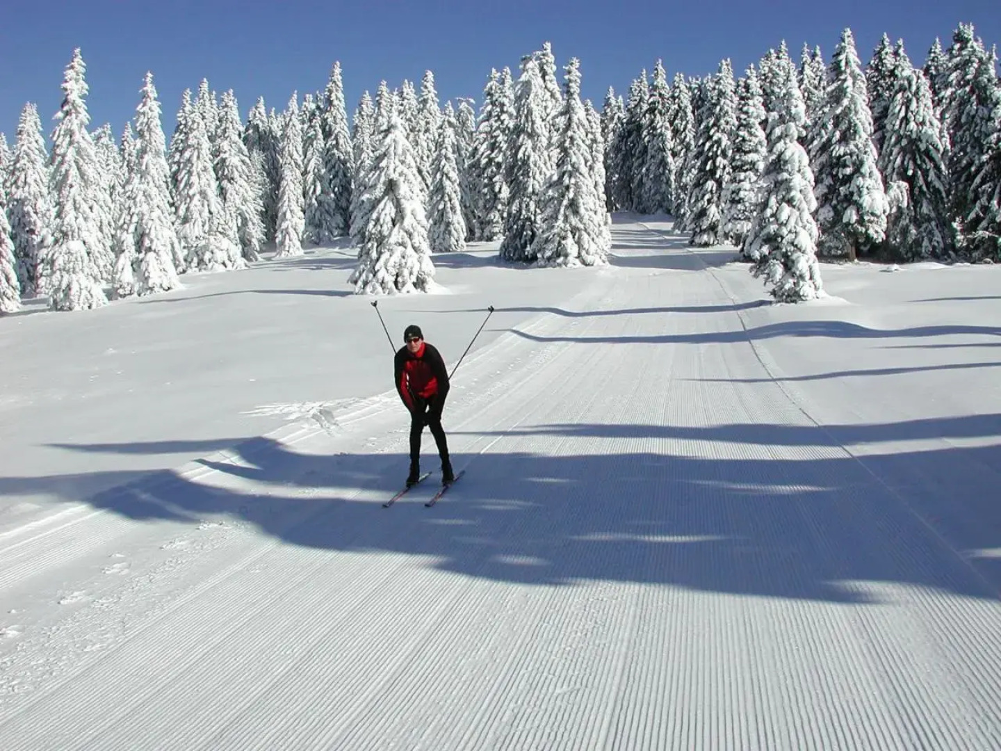 Farm Stay Rotovnik - Plesnik